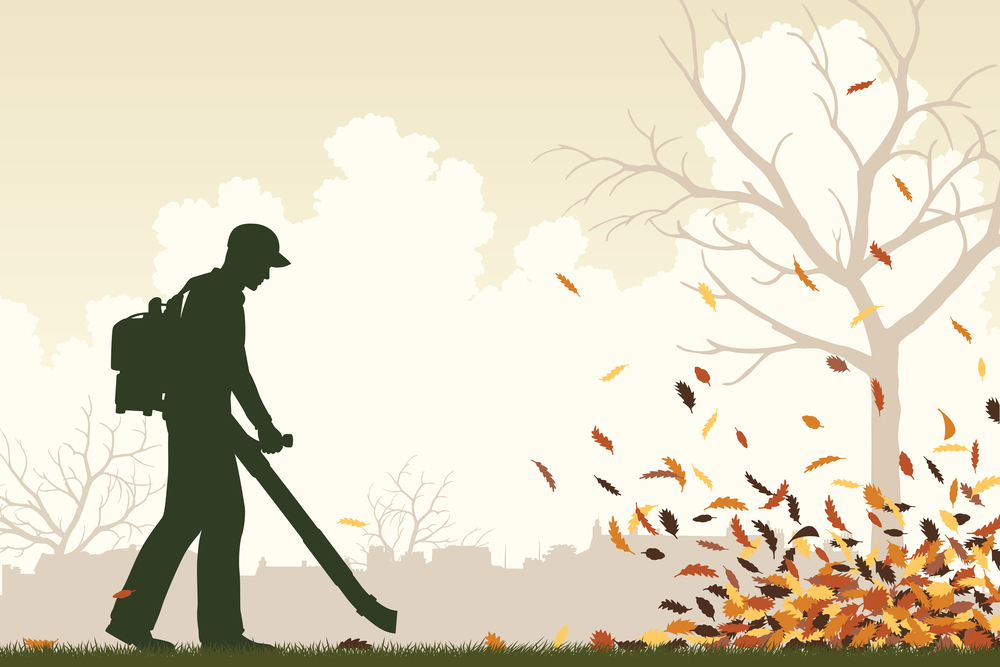 Top tips for clearing up autumn leaves - Silversurfers