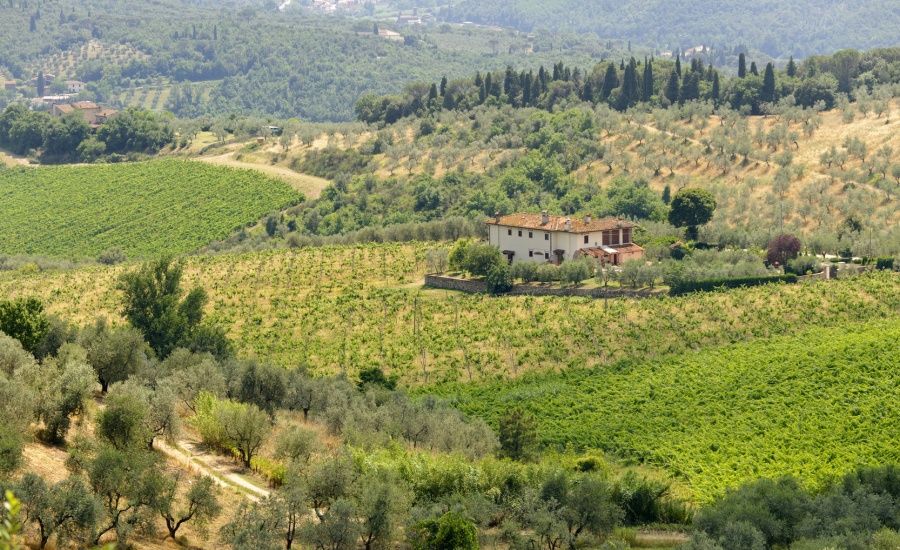 Glorious Tuscan countryside