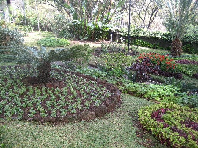 Funchal governors garden