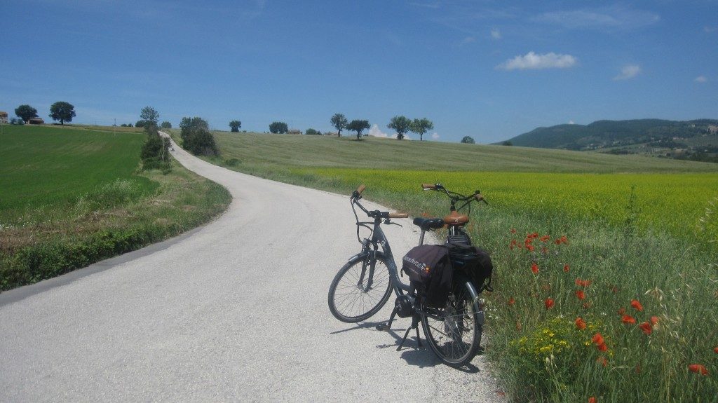 Cycling